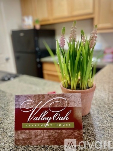 A potted plant sits on a kitchen counter with a card that says Valley Oak Apartment Homes.