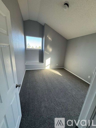 A room with a carpeted floor and a window showing trees outside.