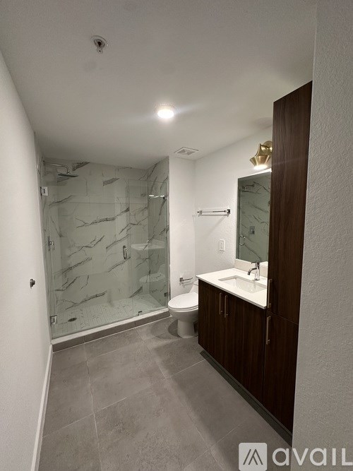 A bathroom with a walk-in shower and a toilet.
