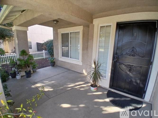 A black door with a decorative handle is on the right side of a patio with a concrete floor and a few plants.