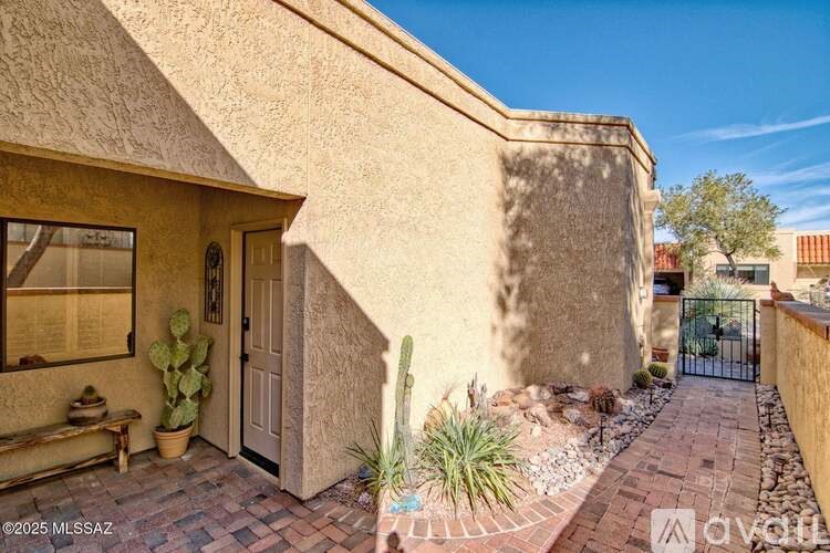A house with a brown wall and a cactus plant in front.