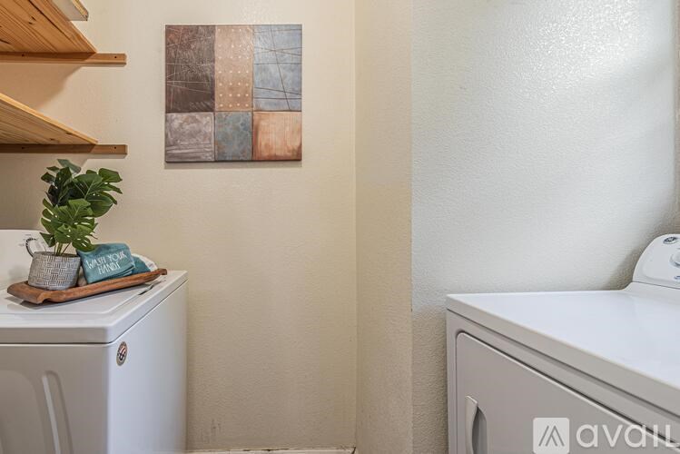 A small potted plant sits on a wooden tray next to a white dishwasher.