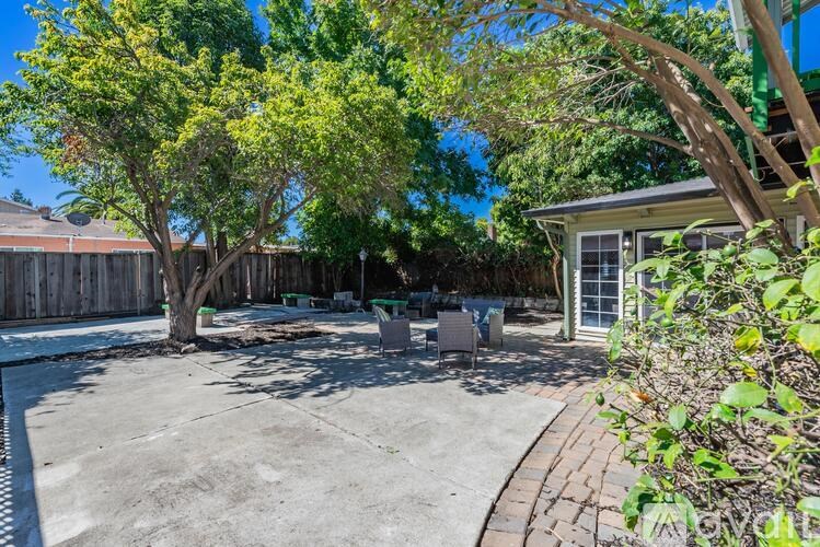 A backyard with a tree, a fence, and a house.