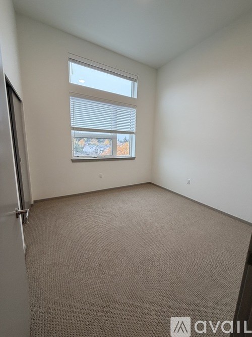 A carpeted room with a window and a door.
