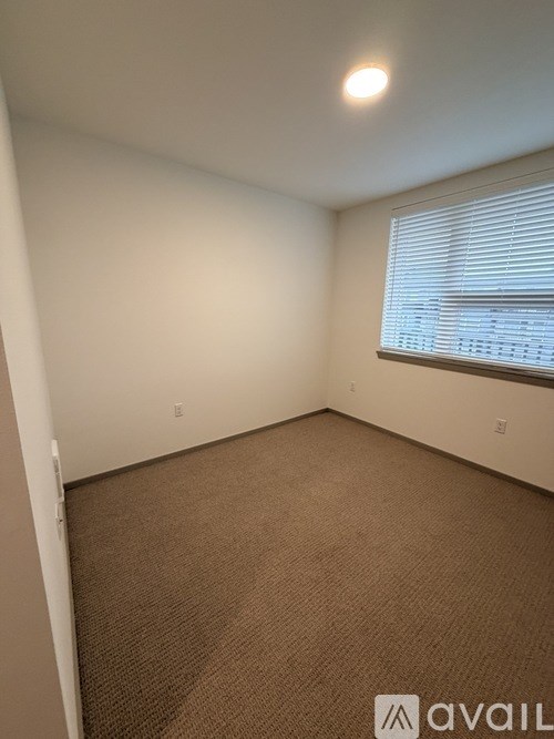 A carpeted room with a window and a wall socket.