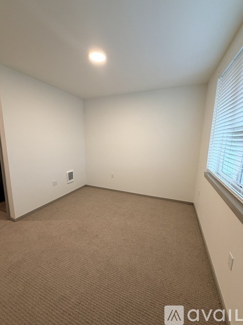 A carpeted room with a window and a light on the ceiling.