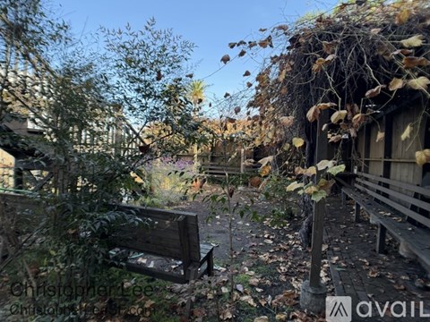 A bench sits in a garden with a tree growing over a wooden fence.