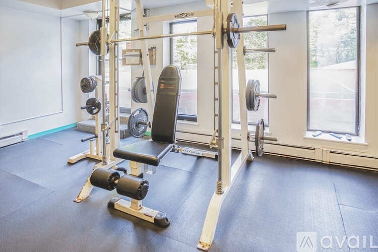 A gym with a squat rack, bench, and weights.