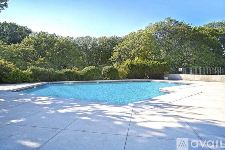 A pool surrounded by trees and bushes.