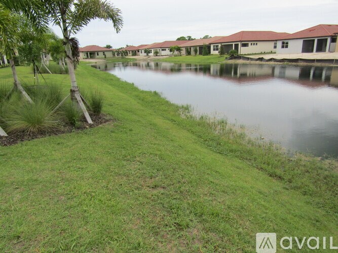 A grassy area with a tree and a body of water in front of a row of houses.