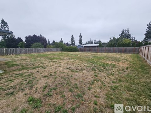A backyard with a fence and trees in the distance.