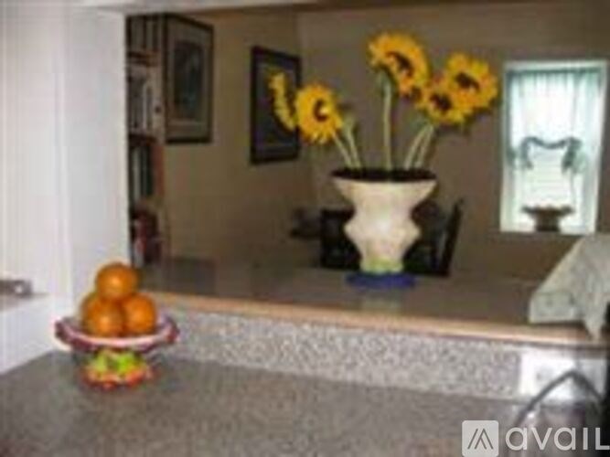 A vase with sunflowers sits on a countertop.