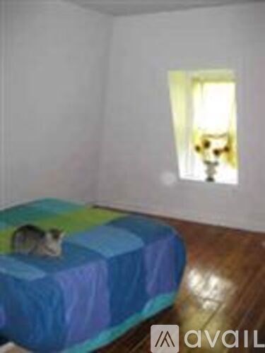 A cat is sitting on a bed in a room.