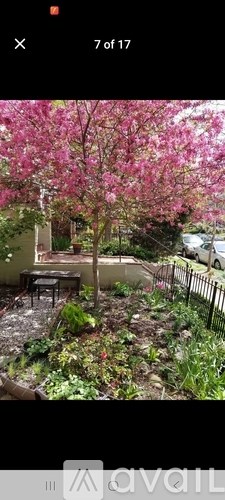 A tree with pink flowers is the main focus of this image.
