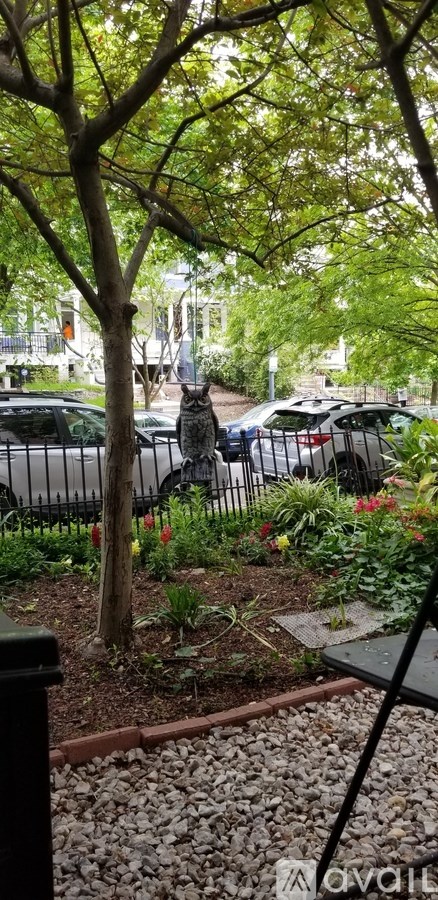 A cat is sitting on a tree branch in a park.