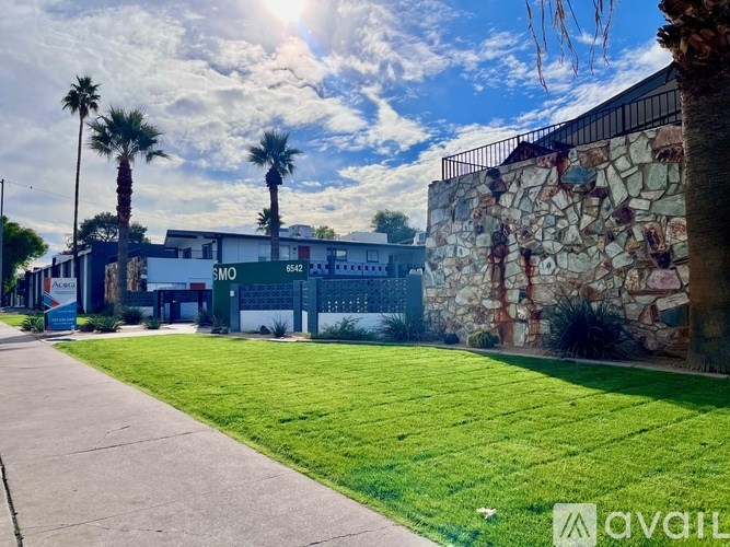 A sunny day at the park with palm trees and a stone wall.