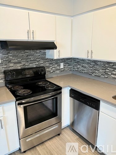 A modern kitchen with a stove and dishwasher.