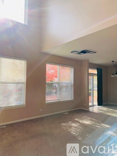 A room with a carpeted floor and a ceiling fan.