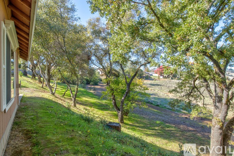 A view from a house looking out over a grassy area with trees.