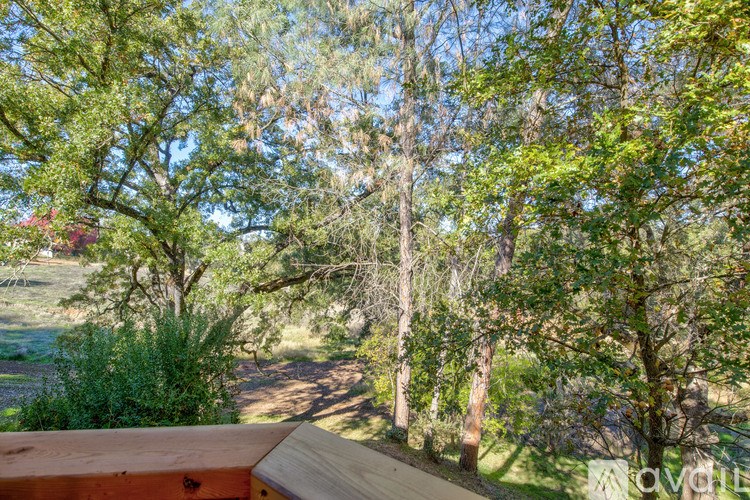 A wooden deck overlooks a tree-filled landscape.