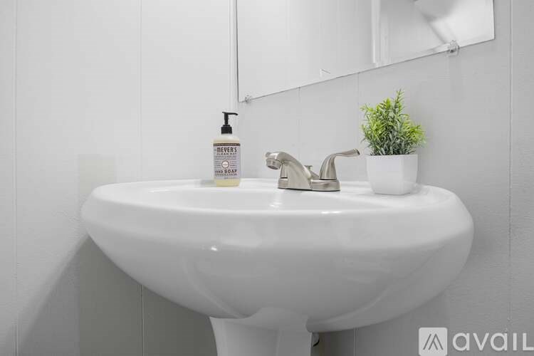 A white bathroom sink with a pump soap and a small plant on the side.