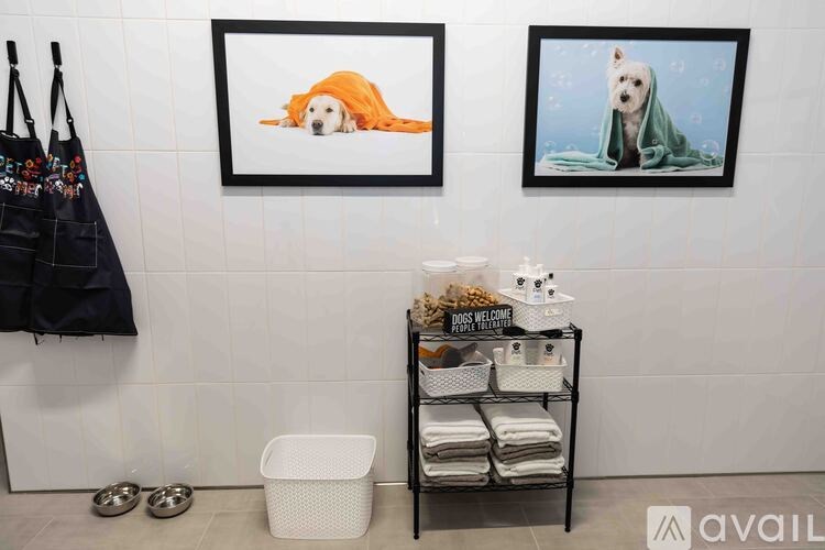 A dog grooming area with two pictures of dogs on the wall.