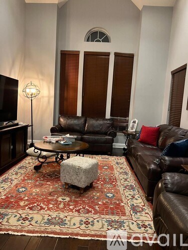 A living room with a brown leather couch and a red patterned rug.