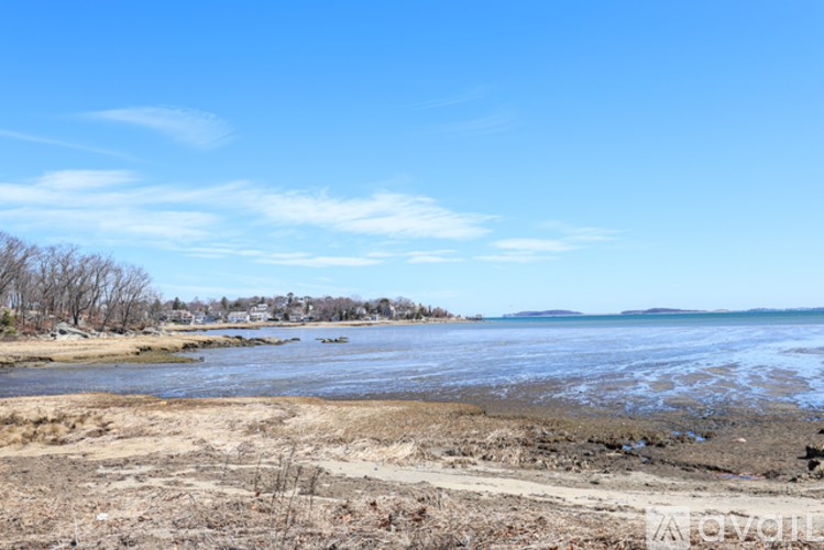 A beach with a clear blue sky and some trees in the distance.