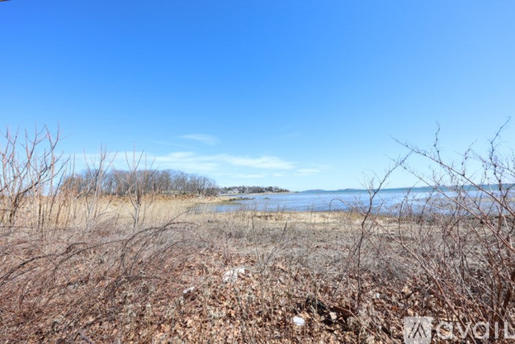 A landscape with a body of water and leafless trees.