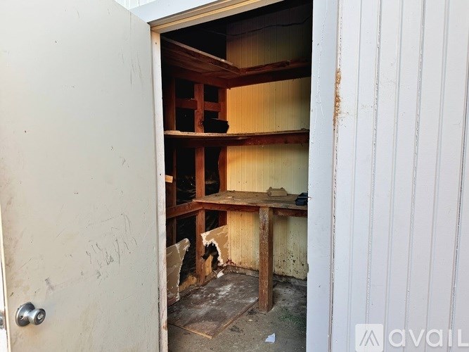 A dog is sitting in a small, unfinished room with a door open.