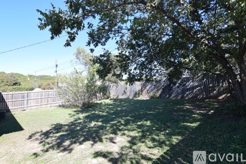 A backyard with a tree and a fence.