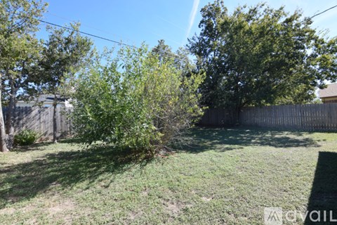A backyard with a fence and a tree.