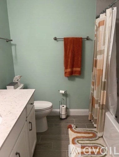 A bathroom with a toilet, a towel rack with a towel, a shower curtain, and a rug.