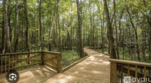 A wooden walkway in a forest leads to a clearing.