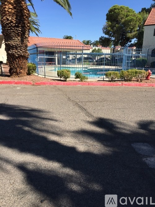 A palm tree casts a shadow on a sunny street.