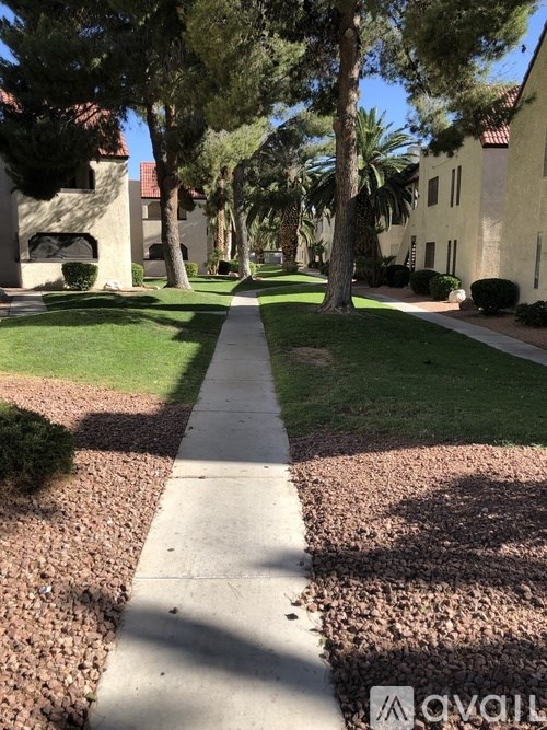 A sidewalk with a white line down the middle runs between two rows of trees and a row of houses.