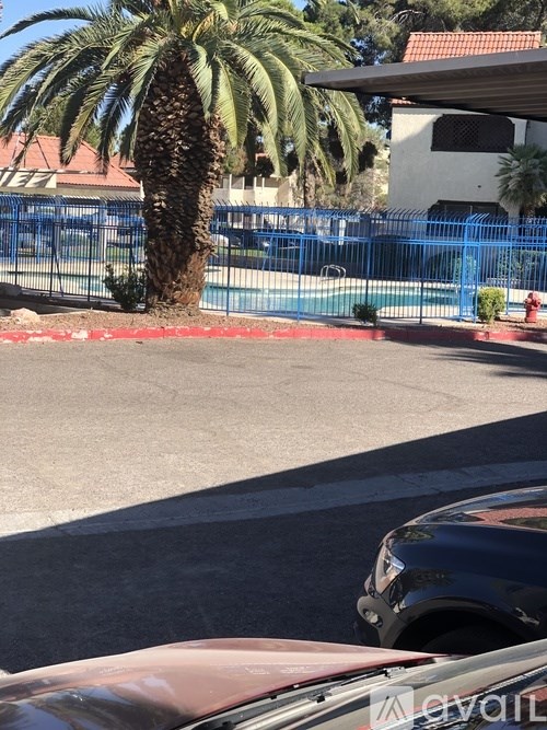 A palm tree stands in front of a pool and a house.