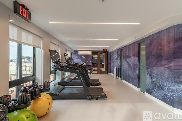 A gym with a treadmill, weights and exercise balls.