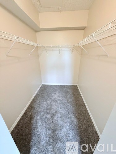 A long, narrow walk-in closet with a carpeted floor and white walls.
