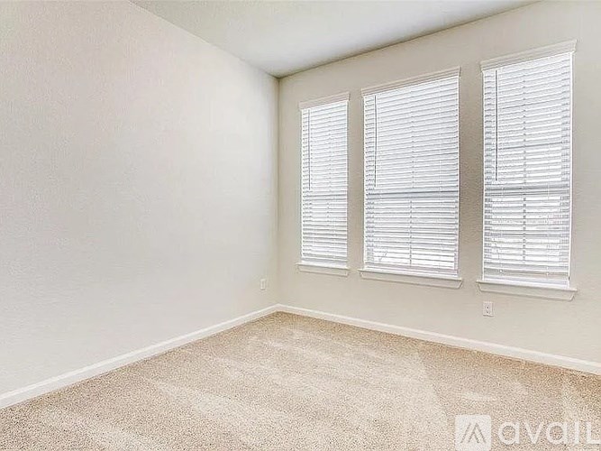A room with two windows and carpeted floor.