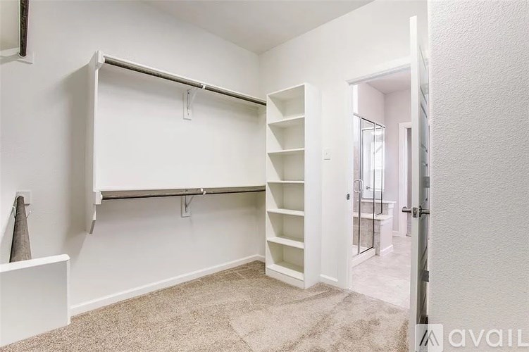 A white closet with shelves and a carpeted floor.