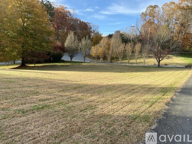 A field with trees in autumn colors and a clear sky.