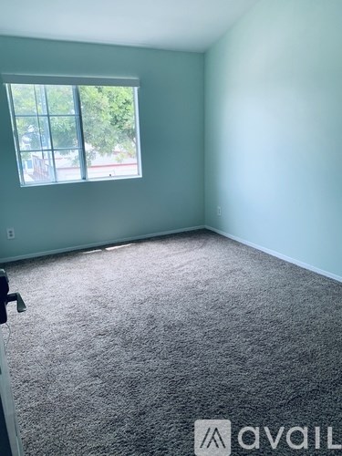 A room with a carpeted floor and a window.