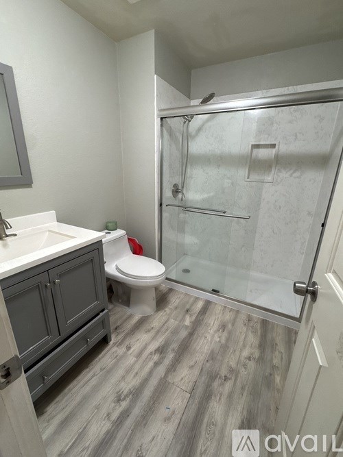 A bathroom with a walk-in shower and a toilet.