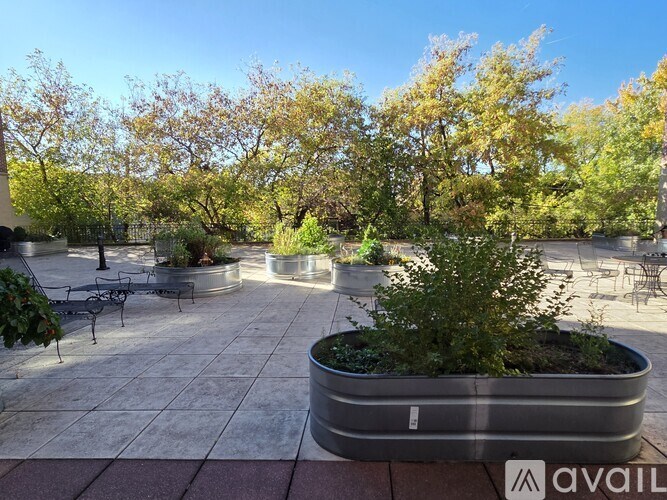 A sunny day in a park with a bench and a planter.