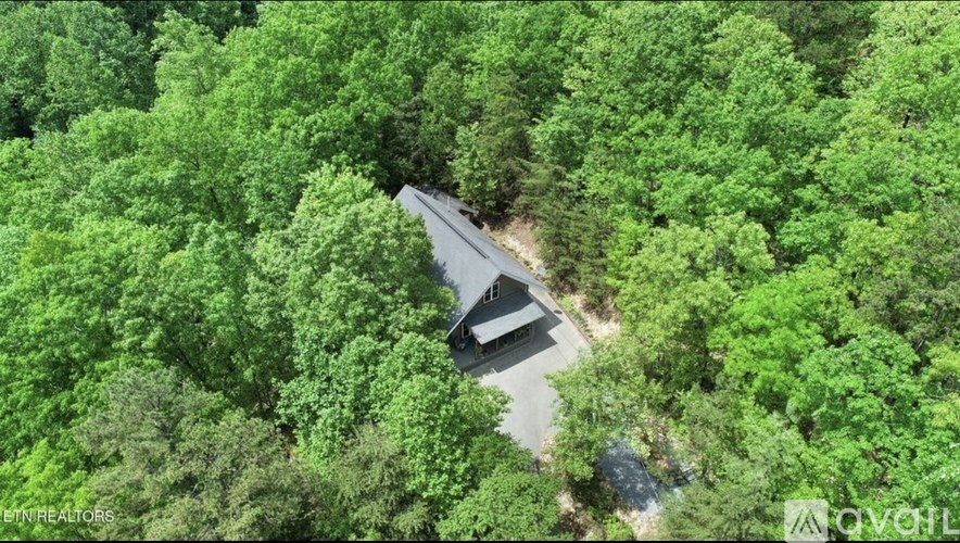 A bird's eye view of a house surrounded by green trees.