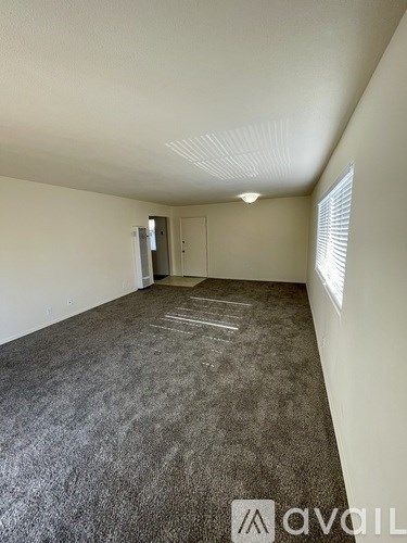 A room with a carpeted floor and a door in the background.