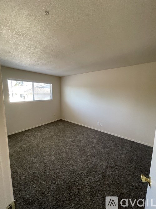 A room with a carpeted floor and a window letting in sunlight.