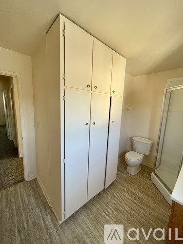A white wardrobe with a toilet and sink in the background.