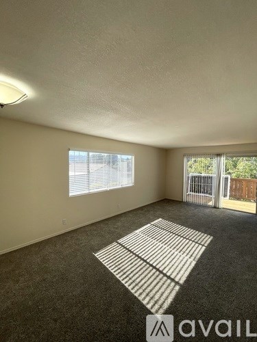 A room with a carpeted floor and a window with blinds.